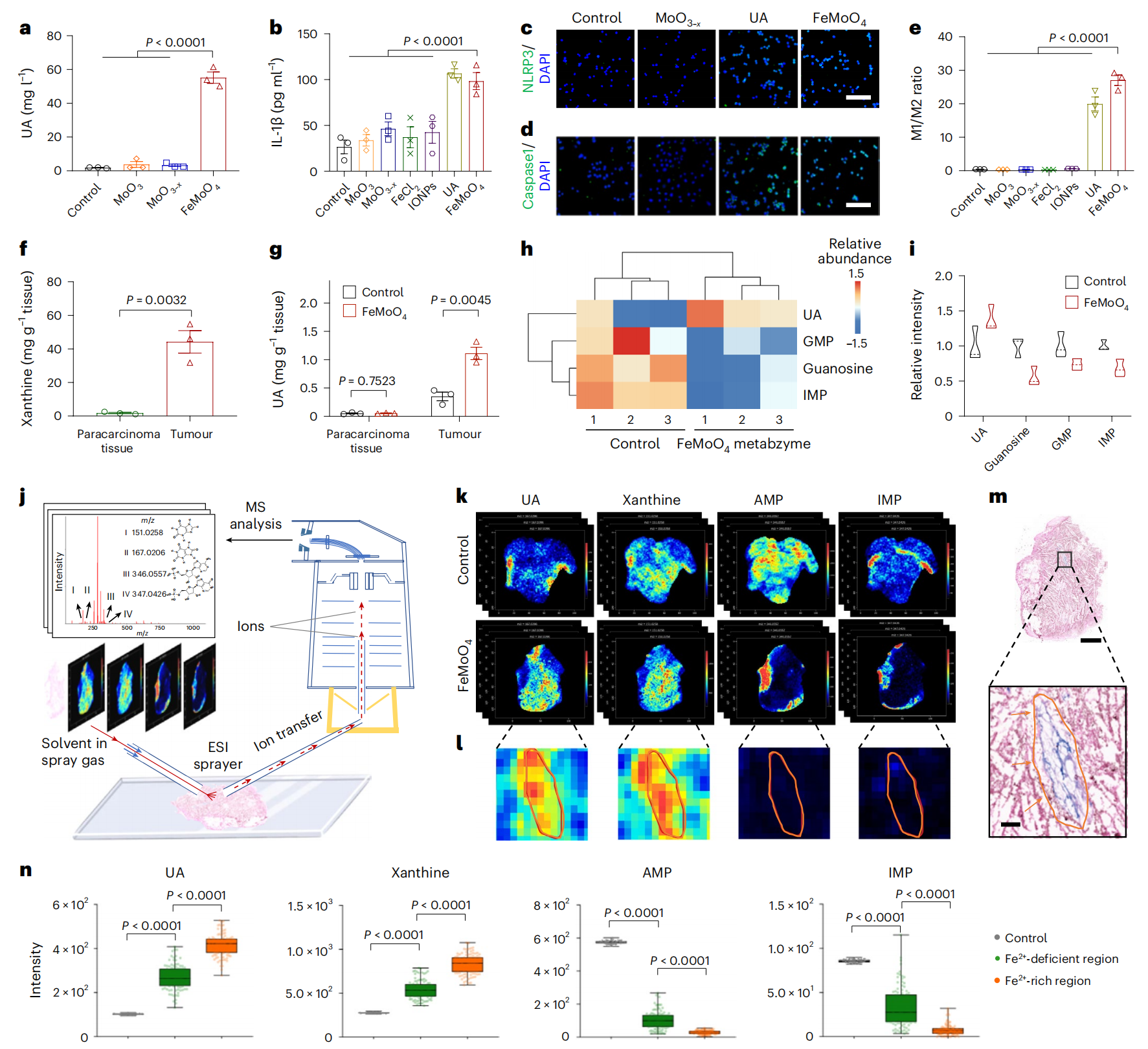 1739860153949362.png 6.png