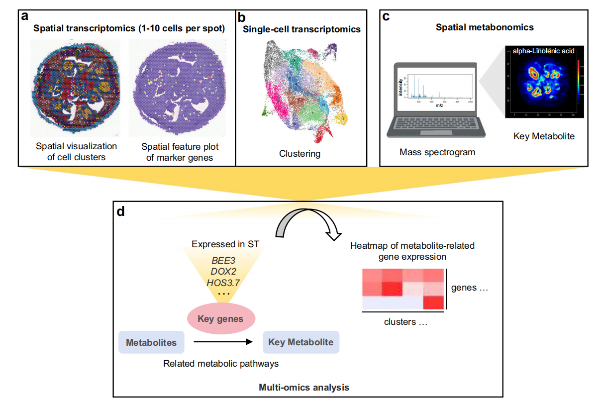1755445619754909.png 圖1.png