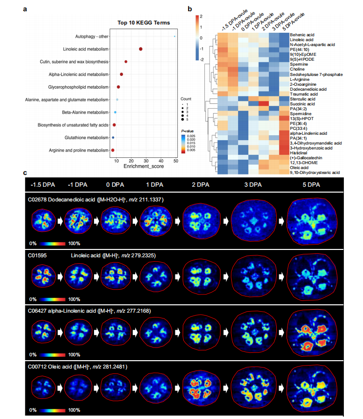 1755445729803810.png 圖5.png