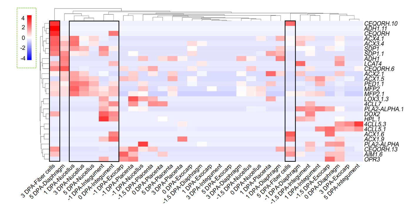 1755445828348570.png 圖6-1.png