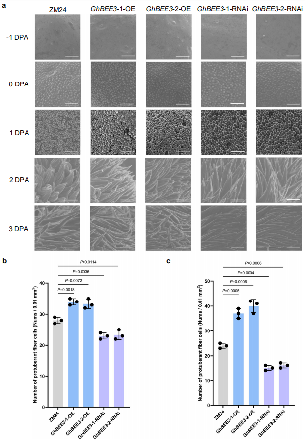 1755445902607435.png 圖8.png