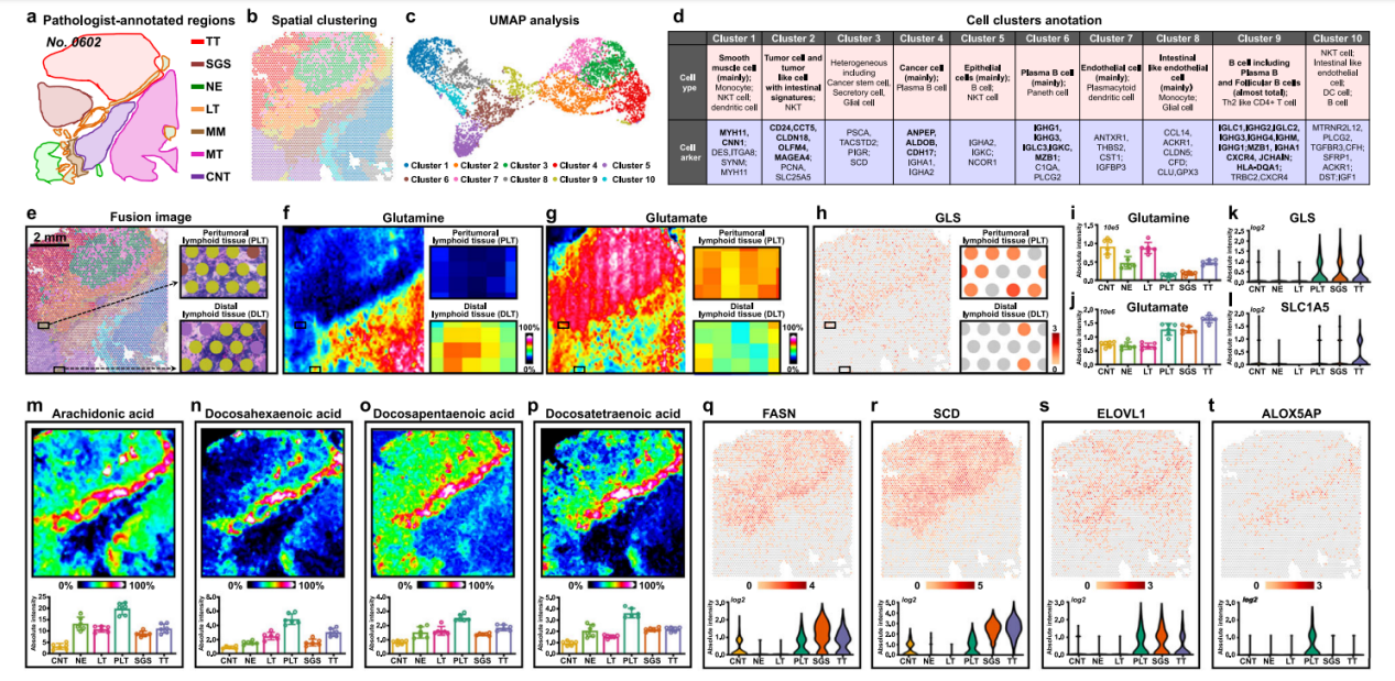 1756646032600106.png 全球.png