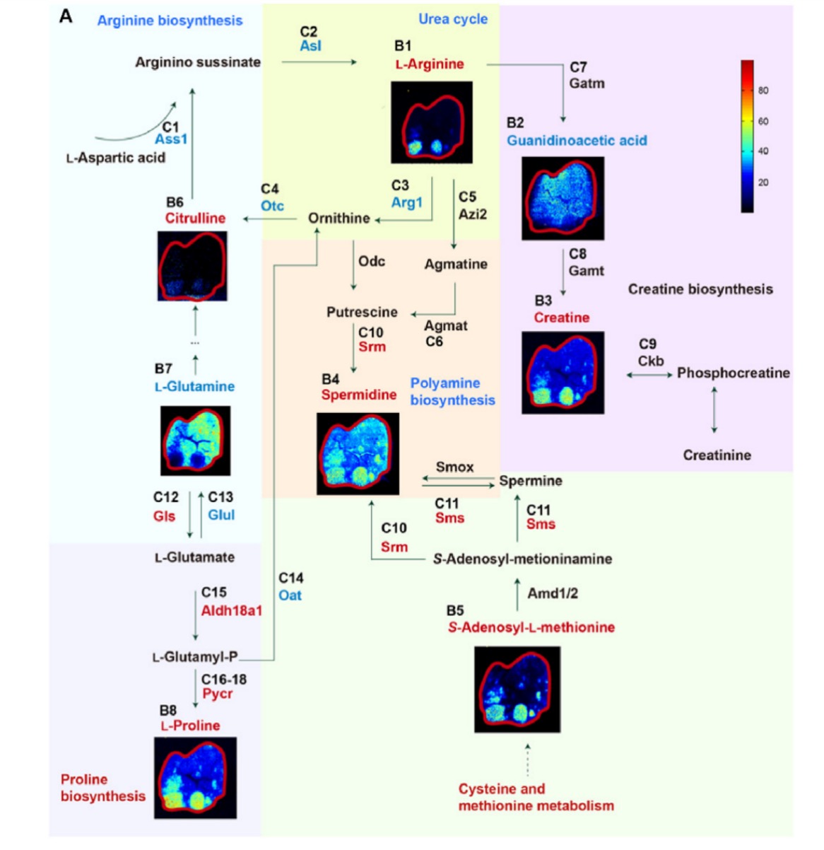 1756649898950039.jpg 1756649591361.jpg