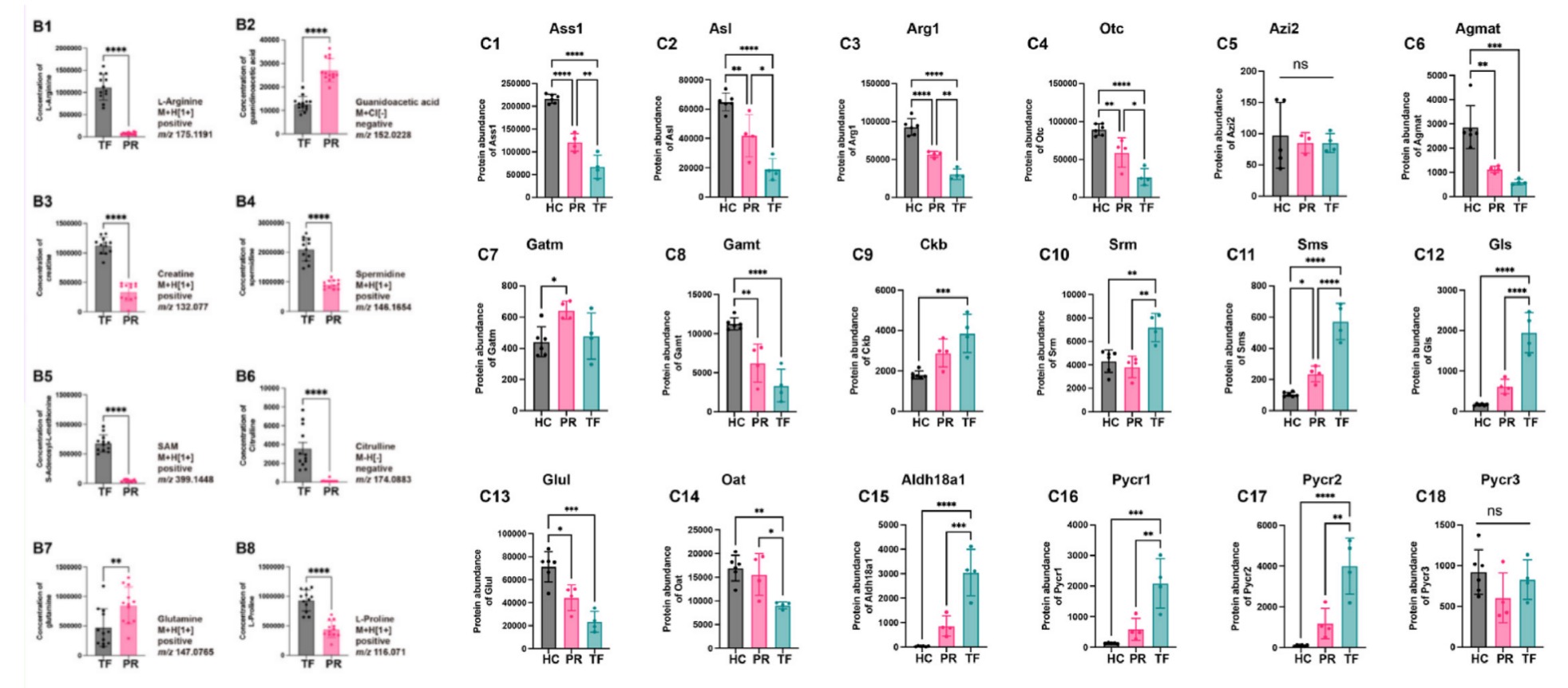 1756649908302899.jpg 1756649647521.jpg
