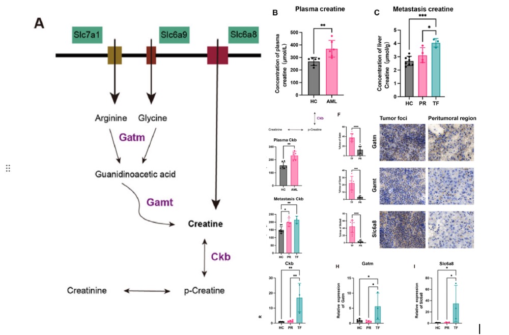 1756650086121608.jpg 1756647466322.jpg