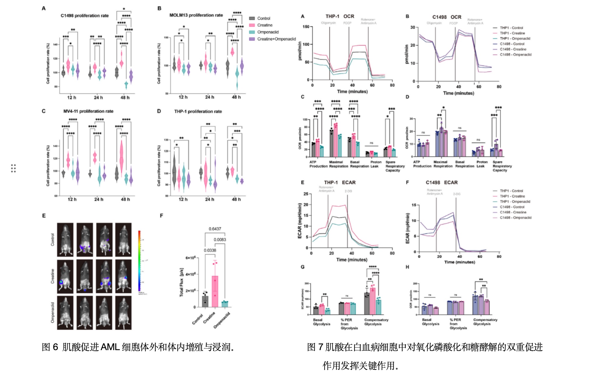 1756650147230876.jpg 1756647651183.jpg