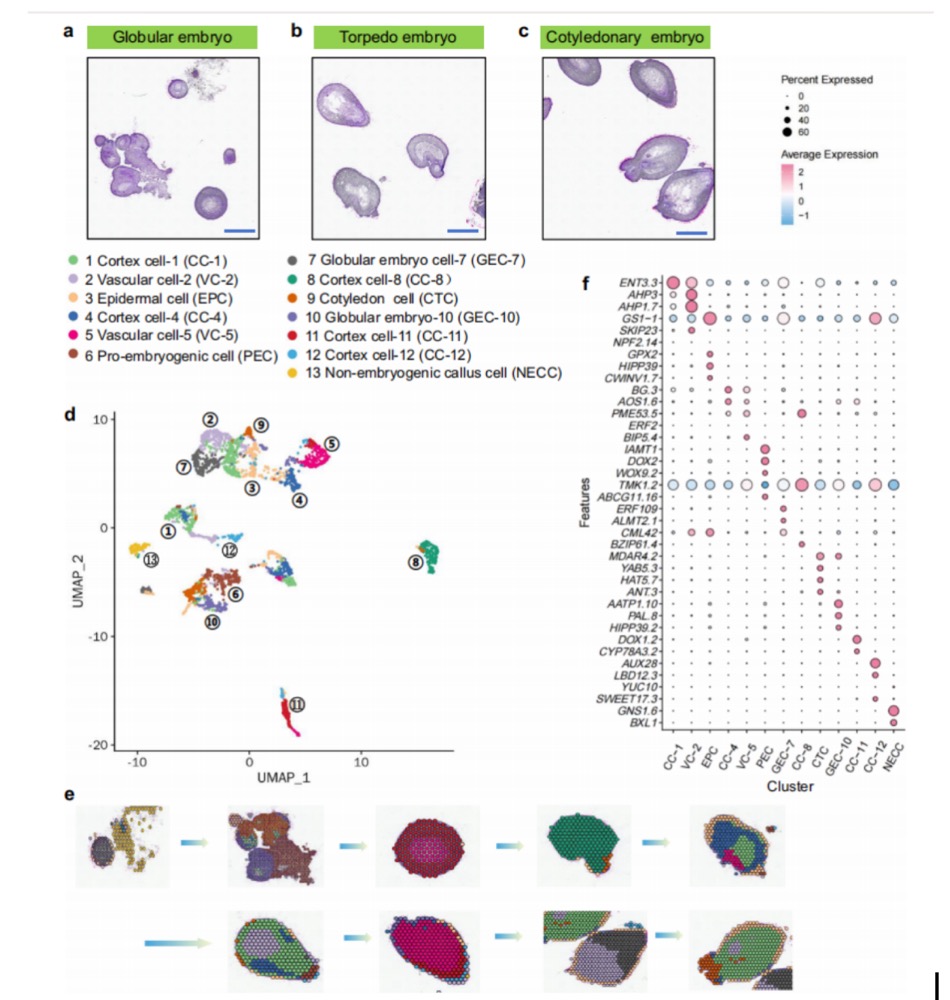 1756650459147250.jpg 1756648028027.jpg