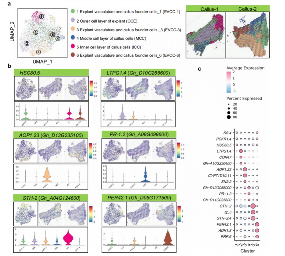 1756650532333577.jpg 1756648154438.jpg