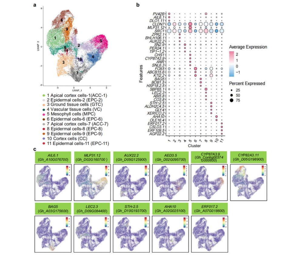 1756651000650681.jpg 1756648382895.jpg