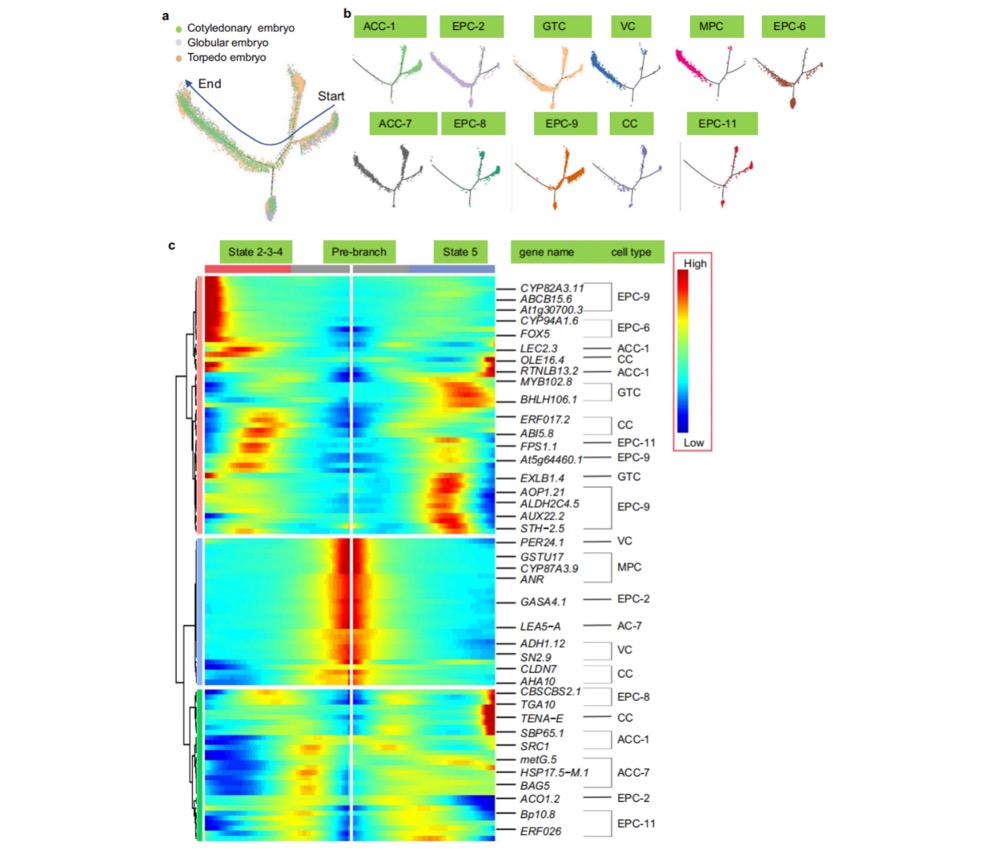 1756651053386782.jpg 1756648571357.jpg