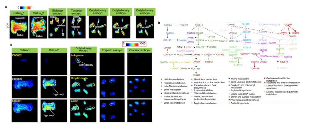 1756651256946195.jpg 1756649137040.jpg