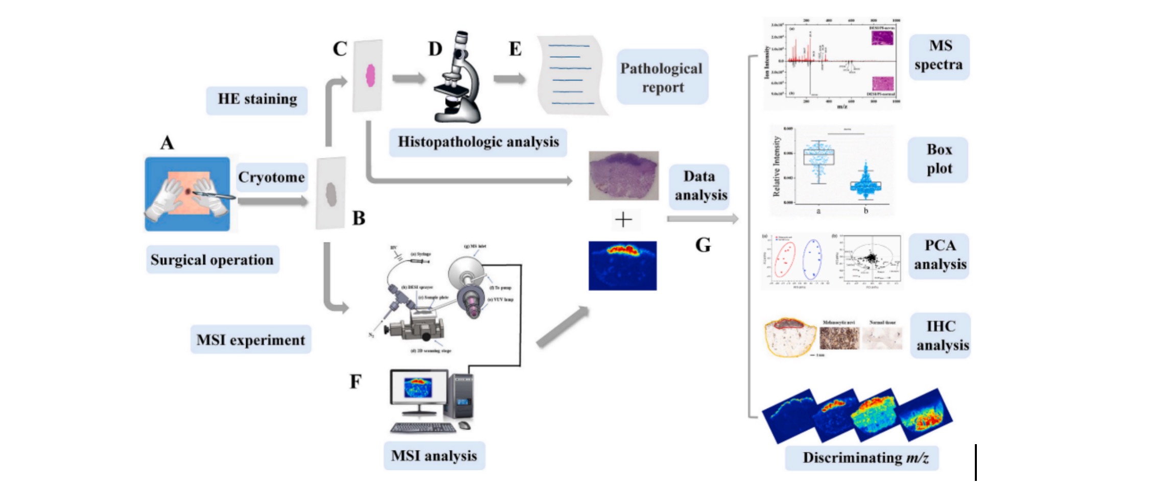 1756656631732531.jpg 1756656624152.jpg