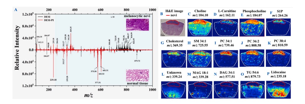 1756656967472904.jpg 1756656957139.jpg