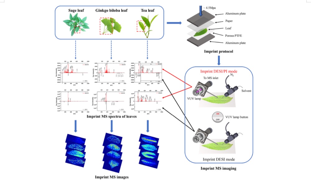 1756657329991285.jpg 1756657317027.jpg