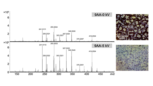 1757415668292329.jpg 1756824301741590.jpg