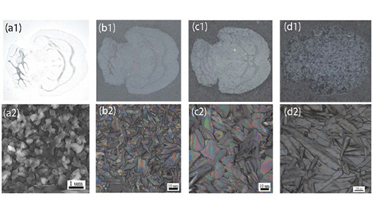 1757415680495936.jpg 1756824316206077.jpg